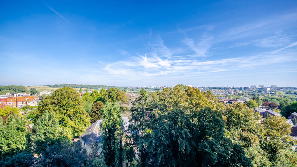 Vente publique - visite publique immobilière